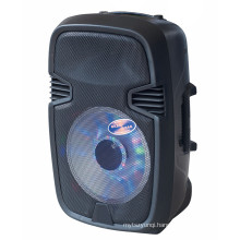 Outdoor Battery Speaker with Colorfu Light Fs-23D